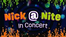 Nick @ Nite In Concert