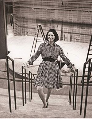 The Long Revolution: Writings from the Frontlines of a New American Theatre Cover