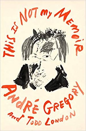 This Is Not My Memoir Cover