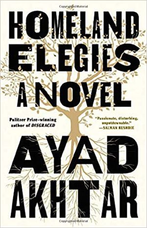 Homeland Elegies: A Novel Cover
