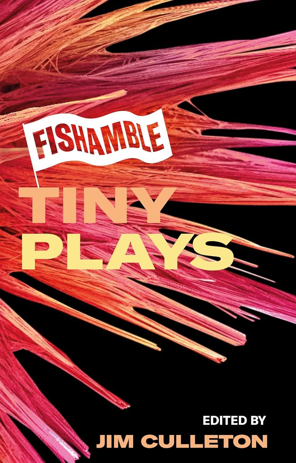 Fishamble Tiny Plays by Jim Culleton (Editor)
