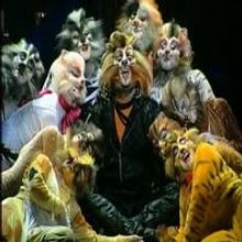 STAGE TUBE: Preview of the Upcoming Italian Production of CATS