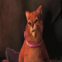 STAGE TUBE: First Clip From SHREK FOREVER AFTER!