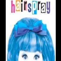 STAGE TUBE: Cast of HAIRSPRAY Tour Says 'Goodbye'