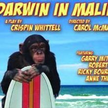 Cotuit Center For The Arts Presents DARWIN IN MALIBU 10/2-25