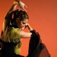 Photo Flash: Forever Flamenco: LA OLE! At Ford Amphitheatre