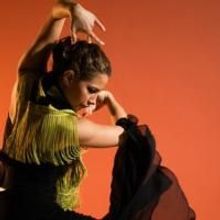 Photo Flash: Forever Flamenco: LA OLE! At Ford Amphitheatre