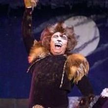 Photo Flash: Way Off Broadway Dinner Theater Presents CATS