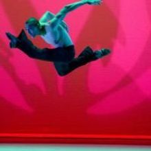 Frederic Franklin, Raven Wilkinson, Eleanor D'Antuono Open DanceTalk Series at FFD Fe