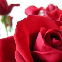Westport Country Playhouse Hosts Their First 'Valentine's Day In August' Date Night…