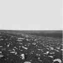 Robert Mann Gallery Presents Joe Deal West And West Through 5/8