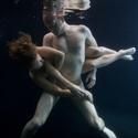 Diggs and Palermo's Dance Company Dre.dance Performs in 'Enigma' Charity Event 5/13