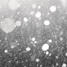 NYC Snow Day Update for Wed. Feb 10, The Show Must Go On! - 11:30 AM Update