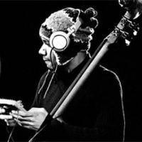 BAM Presents DJ Spooky's Terra Nova: Sinfonia Antarctica During 2009 Next Wave…