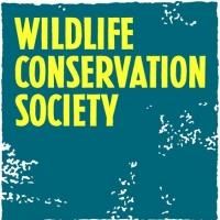 Spend Valentines Day At the Wildlife Conservation Society's Zoos and Aquarium