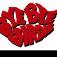 The Pembroke Pines Theatre of the Performing Arts Presents BYE BYE BIRDIE 11/6-28