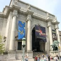 American Museum of Natural History Hosts The 2010 Museum Dance 4/15
