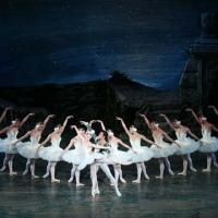 Alina Cojocaru to Appear as Guest Artist with ABT