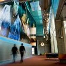 Signature Theatre Offers 'Page to Stage' & Cast Discussion 5/3 & 5/6