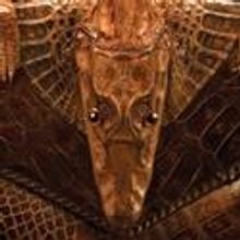 Cajun Band BeauSoleil avec Michael Doucet Comes To Napa Valley Opera House