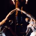 Photo Flash: Steppenwolf Presents THE BROTHER/SISTER PLAYS