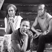 Steppenwolf's THE BROTHER/SISTER PLAYS continue With IN THE RED AND BROWN WATER &…