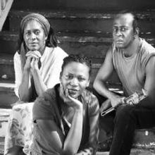 Steppenwolf's THE BROTHER/SISTER PLAYS Opens 1/21