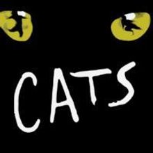 CATS Comes To The Phillips Center 1/9, 1/10/2010