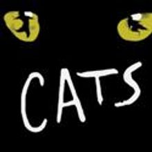 CATS returns to Toronto At The Cannon Theater 5/25-30, Tickets On Sale 3/27