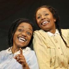 THE COLOR PURPLE Comes To The Stage In Austin 1/12-17/2010