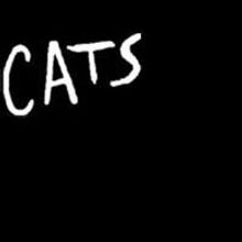 Adopt A Cat At The Opening Of CATS At The Aronoff Center