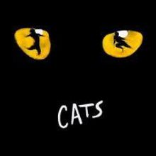 The Palace Theatre Citizen's Bank Performing Arts Series Continues With CATS 10/30-11