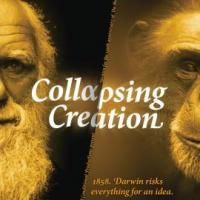 Downstage and Conditional Productions Presents COLLAPSING CREATION and Darwin…