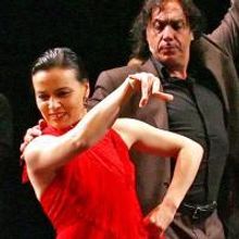 Noche Flamenca Brings The Flamenco To The Stage At Phillips Center 11/12