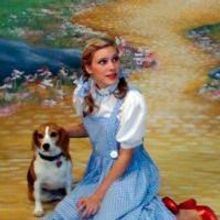 El Dorado Musical Theatre Announces Upcoming Shows, Tickets Now On Sale