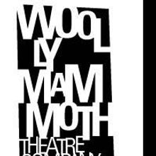 Theatre & Engagement Conference Held As Part Of Woolly Mammoth Season 30 Focus