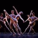 Morphoses Plans for Resident Artists to Curate Programming on a Seasonal Basis