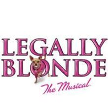 Maxwell C King Center Announces November-January Lineup