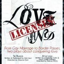 Love and Licenses: Stars from Soaps and Broadway Unite to Benefit Israel   