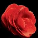 The Lady of the Camellias in French in New York City 4/14-25