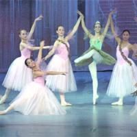 JACCC Announces Their Upcoming Dates And Events