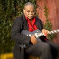 McLean Community Center's MLK Jr. Day Celebration To Explore Our American Blues…