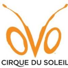 Cirque du Soleil's SF Runs Of OVO To End 1/24