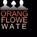 Westport Community Theatre Hosts Staged Reading Of ORANGE FLOWER WATER 4/30