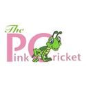 PinkCricket to Host First Annual Arts & Culture Hop and Camp-a-Thon to Benefit…