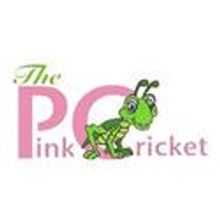 PinkCricket to Host First Annual Arts & Culture Hop and  Camp-a-Thon to Benefit Summe