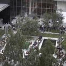 Live Music Returns to MoMA's Sculpture Garden Beginning 7/11