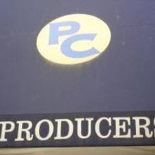 WHAT SAY YOU Begins 11/18 At The Royal Theatre At The Producers Club