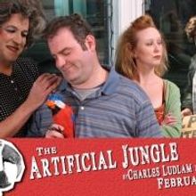 FMPAt Presents THE ARTIFICIAL JUNGLE 2/18-3/7