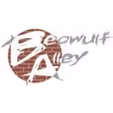 Beowulf Alley Presents FRONTING THE ORDER Readers Theatre 5/11